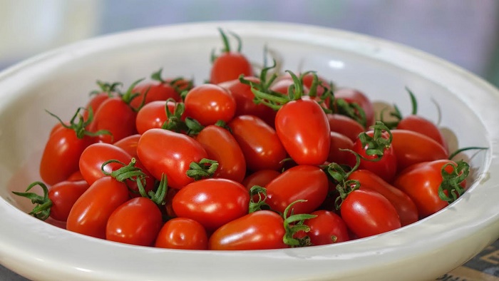 Puerto Rico Tiene Tomates Placeres