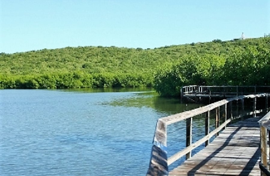 Visita a Las Cabezas de San Juan Placeres