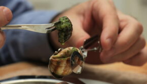 Photo 103362395 / Escargots © Studioportosabbia | Dreamstime.com