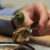 Photo 103362395 / Escargots © Studioportosabbia | Dreamstime.com