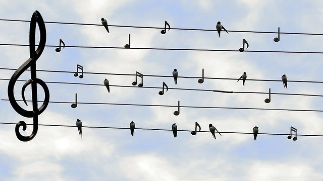 Pixabay - Singing Bird