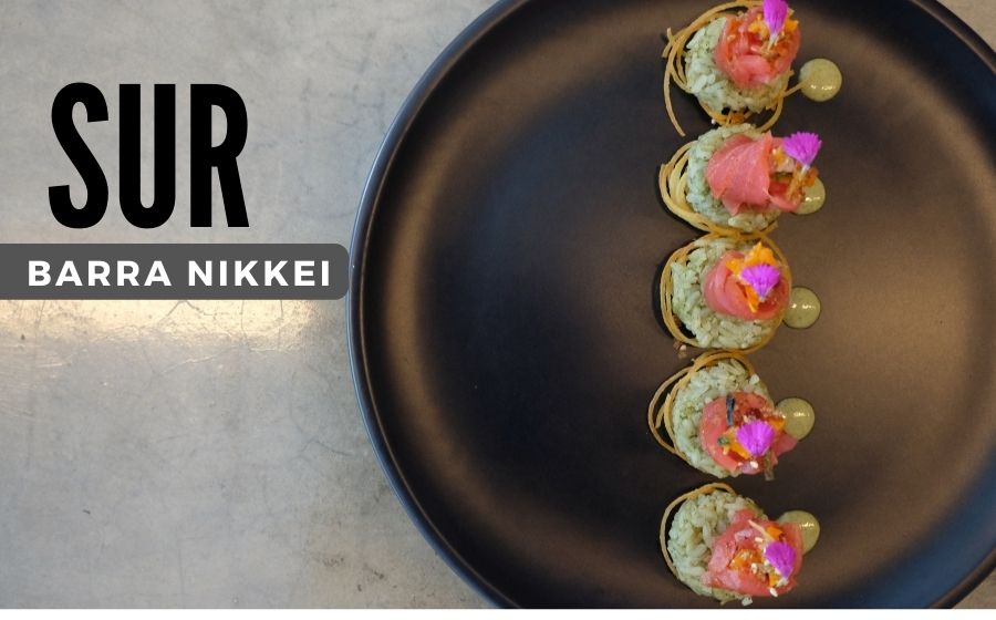 SUR Barra Nikkei