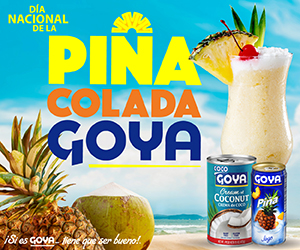 goya pina soc s1